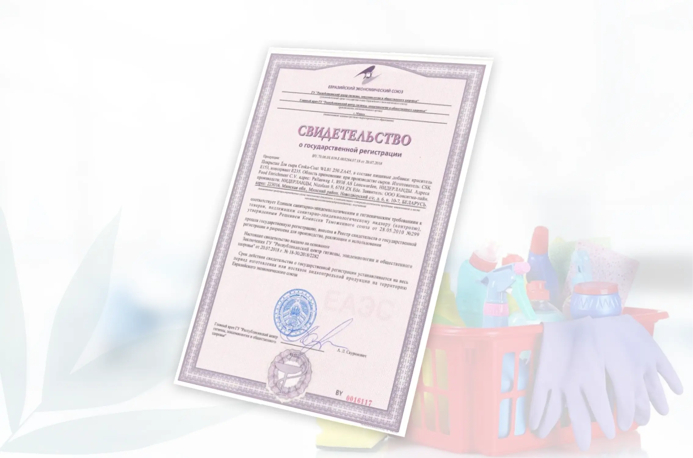 Проверка подлинности СГР: как не попасть в ловушку мошенников?