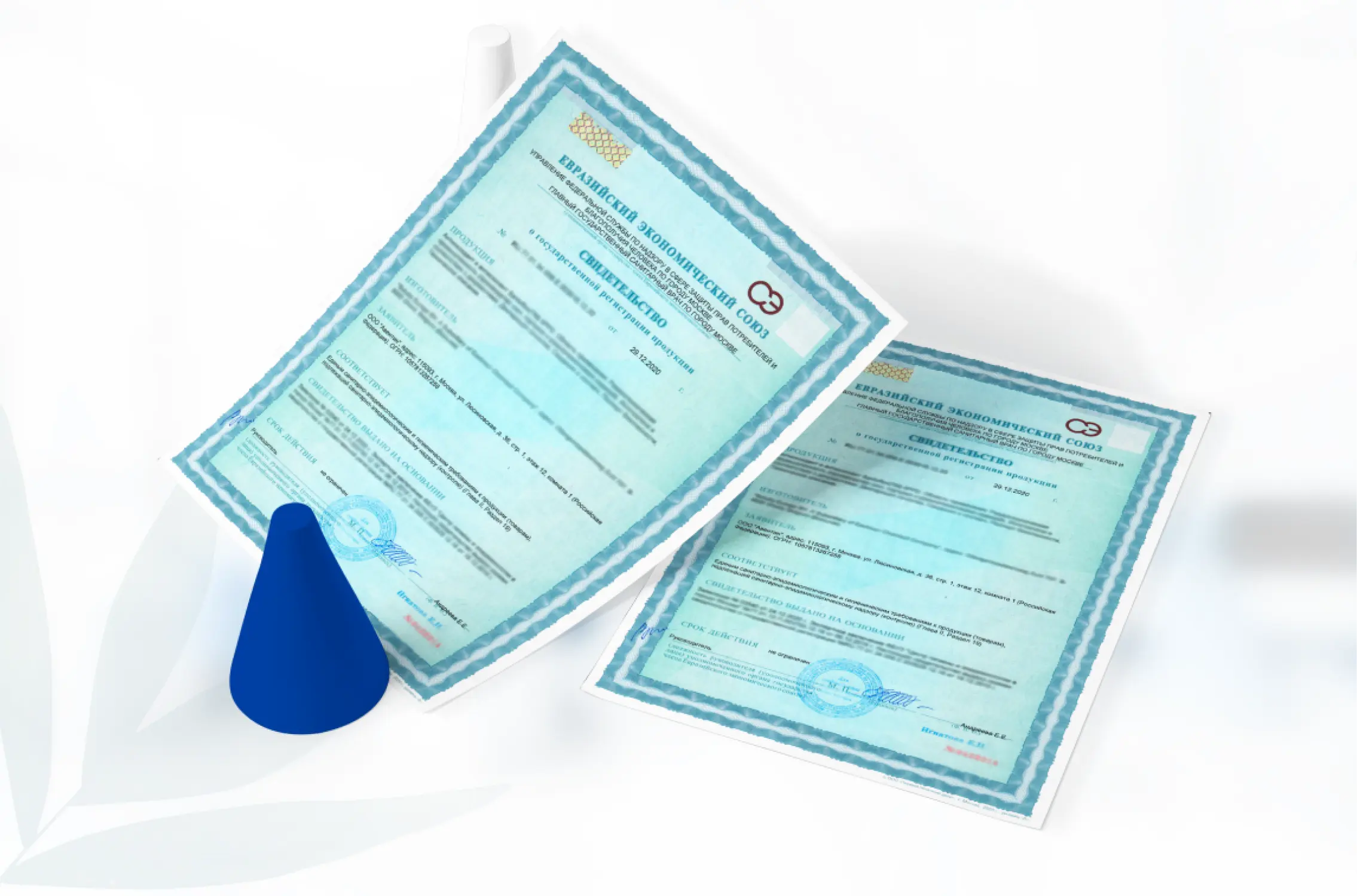 Оформление СГР для продукции Таможенного союза: что нужно знать