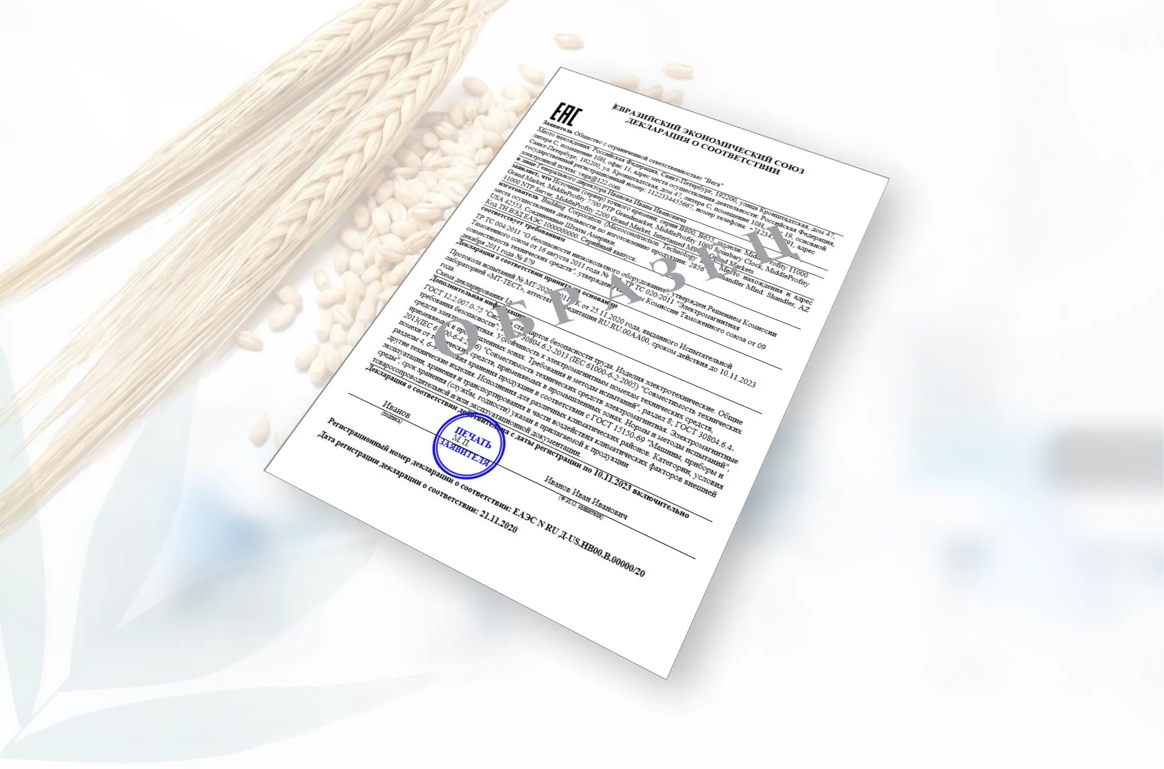 Как оформить декларацию соответствия на зерно: требования и процесс